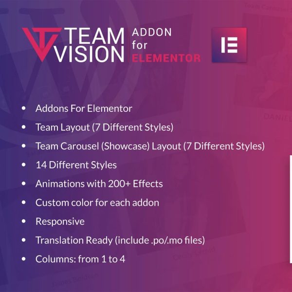 ⚙️ Teamvision for Elementor WP Plugin